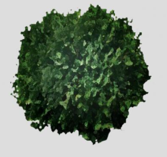 翠绿色灌木平面图SU模型下载_sketchup草图大师SKP模型