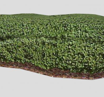 一片观叶灌木丛SU模型下载_sketchup草图大师SKP模型