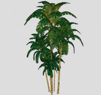 槟榔树乔木SU模型下载_sketchup草图大师SKP模型