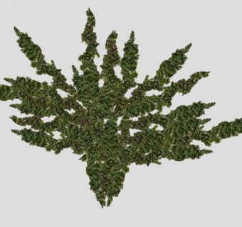 葡萄藤树SU模型下载_sketchup草图大师SKP模型