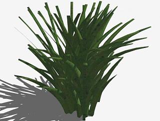 <em>3D</em>草植物<em>SU模型下载</em>_sketchup草图大师SKP<em>模型</em>