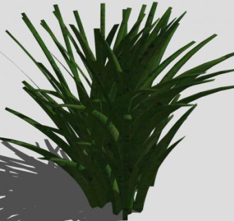 3D草植物SU模型下载_sketchup草图大师SKP模型