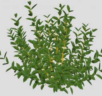 黄色的树枝山茱萸SU模型下载_sketchup草图大师SKP模型