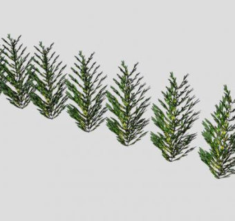 多株观叶灌木植物SU模型下载_sketchup草图大师SKP模型