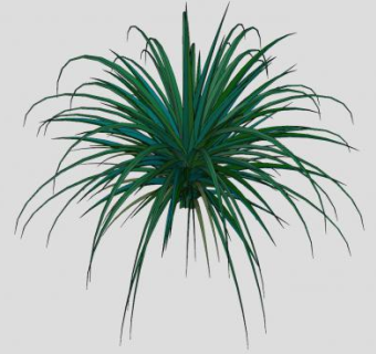 蓝羊茅常绿草本SU模型下载_sketchup草图大师SKP模型