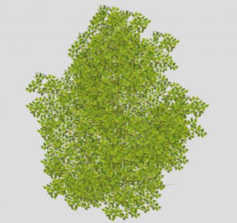 常绿灌木丛植物SU模型下载_sketchup草图大师SKP模型