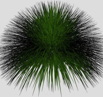 花园草植物SU模型下载_sketchup草图大师SKP模型