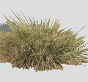 鹿草植物SU模型下载_sketchup草图大师SKP模型