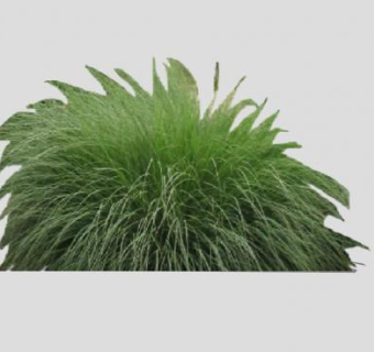 沙漠草植物SU模型下载_sketchup草图大师SKP模型