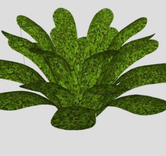 草本植物莴苣SU模型下载_sketchup草图大师SKP模型