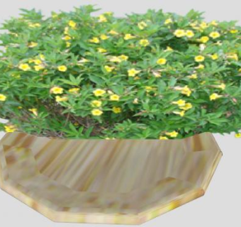 景观美化花钵植物SU模型下载_sketchup草图大师SKP模型