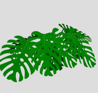 龟背竹植物SU模型下载_sketchup草图大师SKP模型