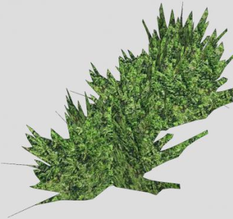 简易灌木属植物SU模型下载_sketchup草图大师SKP模型