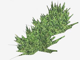 简易灌木属植物SU模型下载_sketchup草图大师SKP模型