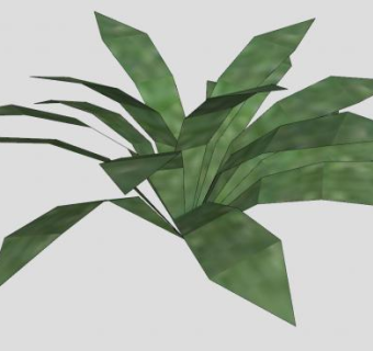 龙舌兰草本植物SU模型下载_sketchup草图大师SKP模型