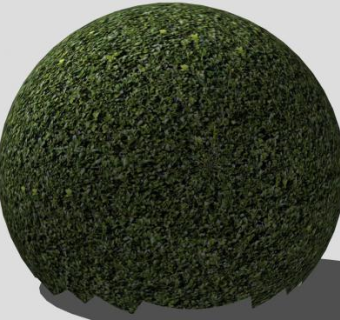 圆形纹理灌木植物SU模型下载_sketchup草图大师SKP模型