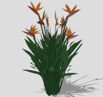 观赏花卉小灌木SU模型下载_sketchup草图大师SKP模型