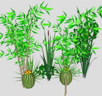 灌木植物属SU模型下载_sketchup草图大师SKP模型