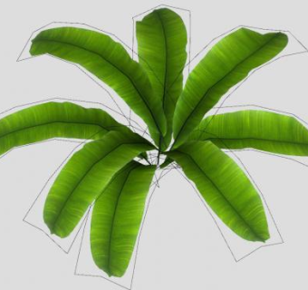 观赏绿色植物SU模型下载_sketchup草图大师SKP模型