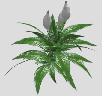 开花植物属SU模型下载_sketchup草图大师SKP模型