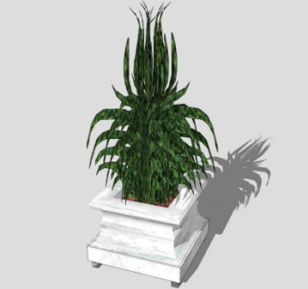 现代盆栽观赏植物SU模型下载_sketchup草图大师SKP模型