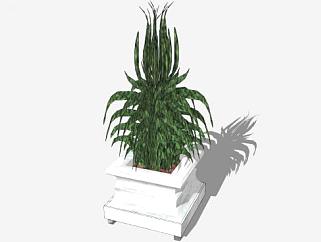 现代盆栽观赏植物SU模型下载_sketchup草图大师SKP模型