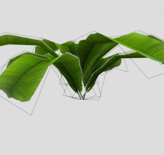 绿色观叶植物SU模型下载_sketchup草图大师SKP模型