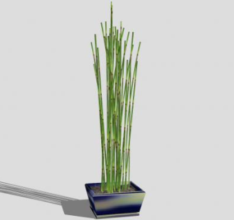 室内盆栽竹子装饰SU模型下载_sketchup草图大师SKP模型