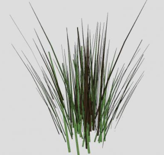 草本植物属SU模型下载_sketchup草图大师SKP模型