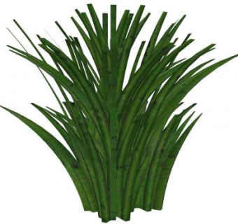 绿色草本植物SU模型下载_sketchup草图大师SKP模型