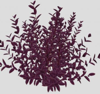 紫叶李灌木植物SU模型下载_sketchup草图大师SKP模型