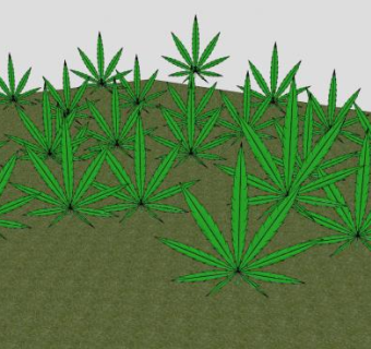 杂草领域SU模型下载_sketchup草图大师SKP模型