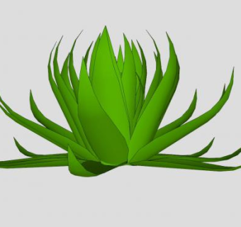 常绿草本植物SU模型下载_sketchup草图大师SKP模型