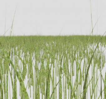 3D绿草地SU模型下载_sketchup草图大师SKP模型