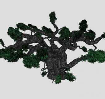 3D盆景黑橄榄树SU模型下载_sketchup草图大师SKP模型