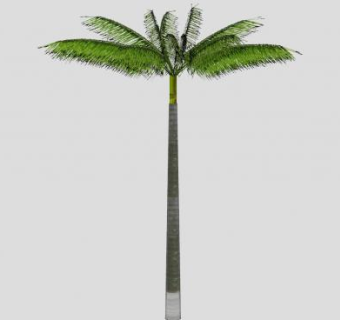 热带植物棕榈树SU模型下载_sketchup草图大师SKP模型
