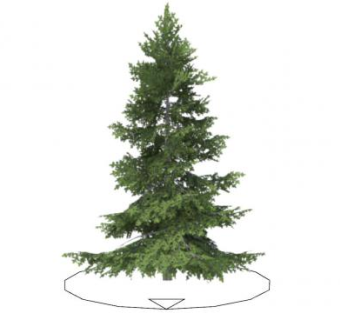 塞尔维亚云杉植物SU模型下载_sketchup草图大师SKP模型