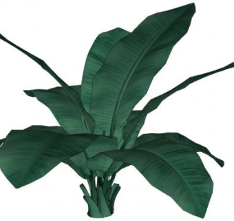 香蕉树巨型草本植物SU模型下载_sketchup草图大师SKP模型
