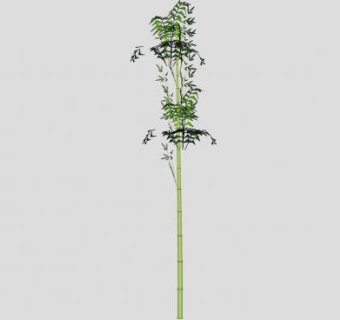 一颗竹子SU模型下载_sketchup草图大师SKP模型