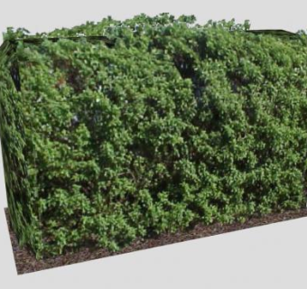 现代灌木树篱SU模型下载_sketchup草图大师SKP模型