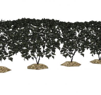 四棵木本植物SU模型下载_sketchup草图大师SKP模型