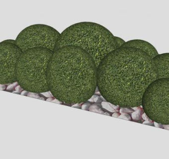 黄杨常绿灌木丛SU模型下载_sketchup草图大师SKP模型