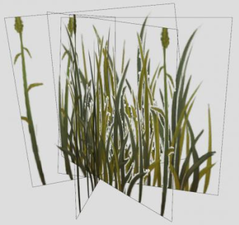 草本属植物SU模型下载_sketchup草图大师SKP模型