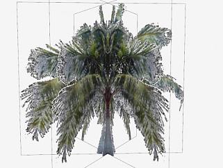 简易3D<em>棕榈树</em>SU模型下载_sketchup草图大师SKP模型