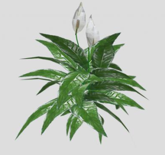 绿叶小灌木植物SU模型下载_sketchup草图大师SKP模型