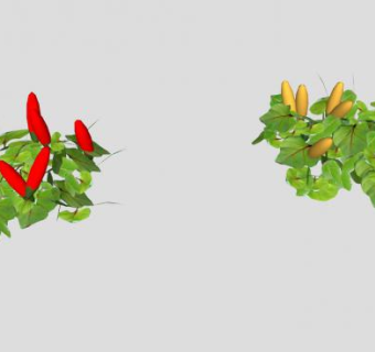 辣椒属植物SU模型下载_sketchup草图大师SKP模型