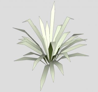 观叶属植物SU模型下载_sketchup草图大师SKP模型