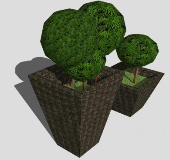盆景木本植物SU模型下载_sketchup草图大师SKP模型