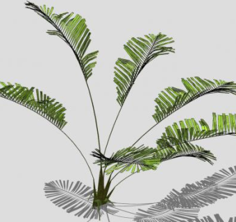 棕榈叶植物SU模型下载_sketchup草图大师SKP模型