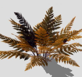 莎蔓芭亚蕨植物SU模型下载_sketchup草图大师SKP模型